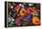 Colourful Tajines, Essaouira, Atlantic Coast, Morocco, North Africa, Africa-Stuart Black-Framed Premier Image Canvas