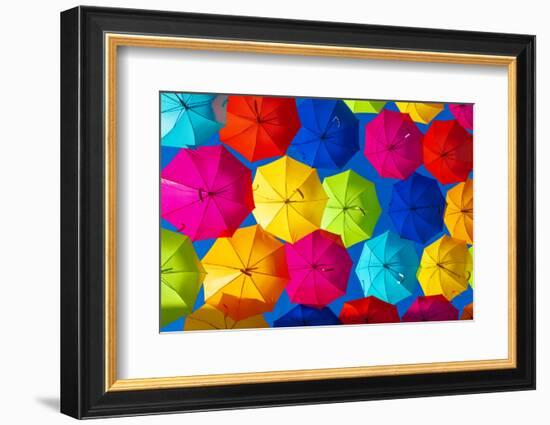 Colourful Umbrellas Collection - Dark Blue Sky-Philippe Hugonnard-Framed Photographic Print