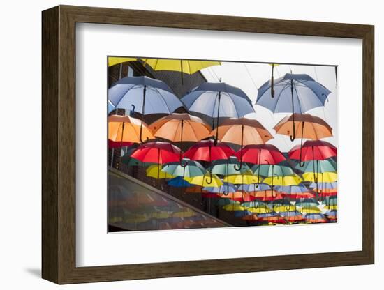 Colourful umbrellas decorate a shopping precinct in England-Charles Bowman-Framed Photographic Print