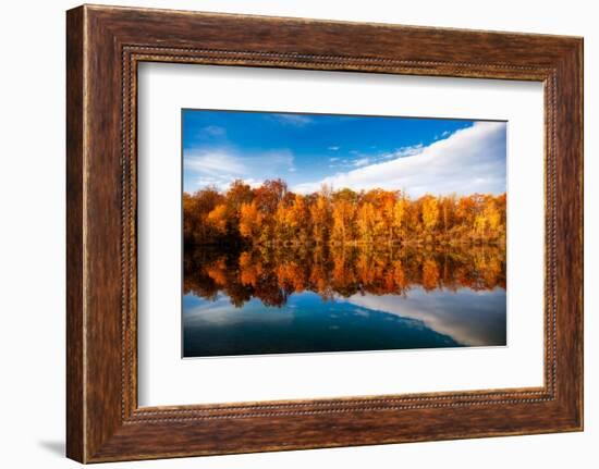 Colourful Woods-Philippe Sainte-Laudy-Framed Photographic Print