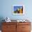 Colourfully Painted Victorian Bathing Huts in False Bay, Cape Town, South Africa, Africa-Yadid Levy-Framed Photographic Print displayed on a wall