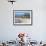 Colourfully Painted Victorian Bathing Huts in False Bay, Cape Town, South Africa, Africa-Yadid Levy-Framed Photographic Print displayed on a wall