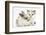 Colourpoint Kitten with Baby Rabbit-Mark Taylor-Framed Photographic Print