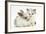 Colourpoint Kitten with Baby Rabbit-Mark Taylor-Framed Photographic Print