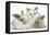 Colourpoint Kitten with Two Baby Rabbits-Mark Taylor-Framed Premier Image Canvas