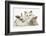 Colourpoint Kitten with Two Baby Rabbits-Mark Taylor-Framed Photographic Print