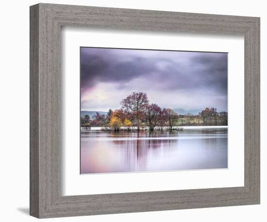 Colours of Autumn-Lynne Douglas-Framed Photographic Print