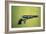 Colt 'Walker' Model .44 Calibre Revolver of 1847 (Wood and Metal)-American-Framed Giclee Print