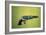 Colt 'Walker' Model .44 Calibre Revolver of 1847 (Wood and Metal)-American-Framed Giclee Print