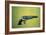 Colt 'Walker' Model .44 Calibre Revolver of 1847 (Wood and Metal)-American-Framed Giclee Print