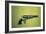 Colt 'Walker' Model .44 Calibre Revolver of 1847 (Wood and Metal)-American-Framed Giclee Print