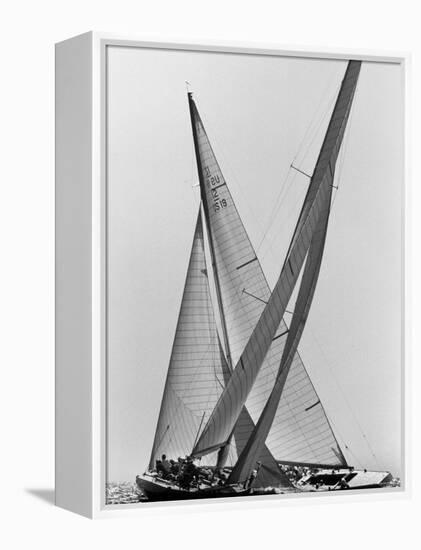 Columbia and Nefertiti During America's Cup Trial-George Silk-Framed Premier Image Canvas