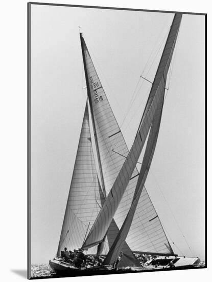 Columbia and Nefertiti During America's Cup Trial-George Silk-Mounted Photographic Print