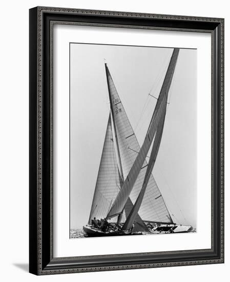 Columbia and Nefertiti During America's Cup Trial-George Silk-Framed Photographic Print