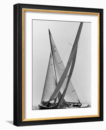 Columbia and Nefertiti During America's Cup Trial-George Silk-Framed Photographic Print