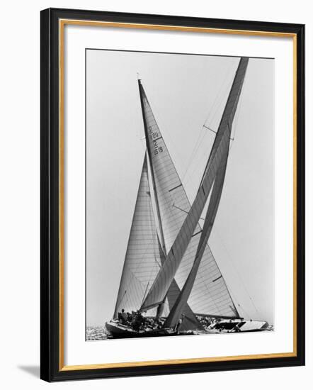 Columbia and Nefertiti During America's Cup Trial-George Silk-Framed Photographic Print