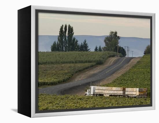 Columbia Crest Winery, Yakima, Washington-Janis Miglavs-Framed Premier Image Canvas