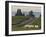 Columbia Crest Winery, Yakima, Washington-Janis Miglavs-Framed Photographic Print