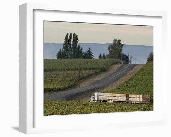 Columbia Crest Winery, Yakima, Washington-Janis Miglavs-Framed Photographic Print