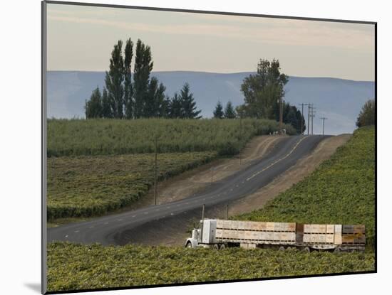 Columbia Crest Winery, Yakima, Washington-Janis Miglavs-Mounted Photographic Print