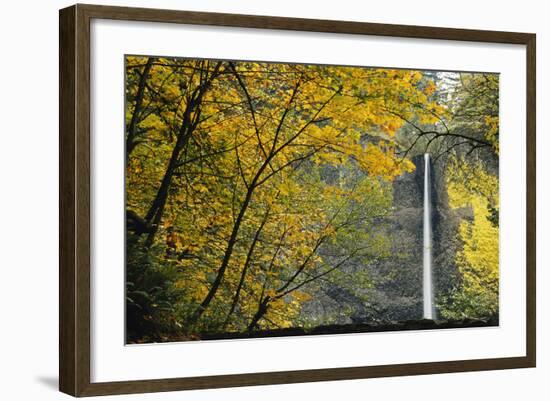 Columbia, Latourell Falls with Fall Leaves Columbia River Gorge-Jamie & Judy Wild-Framed Photographic Print