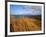 Columbia River from Clatsop Spit, Fort Stevens State Park, Oregon, USA-null-Framed Photographic Print