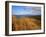 Columbia River from Clatsop Spit, Fort Stevens State Park, Oregon, USA-null-Framed Photographic Print