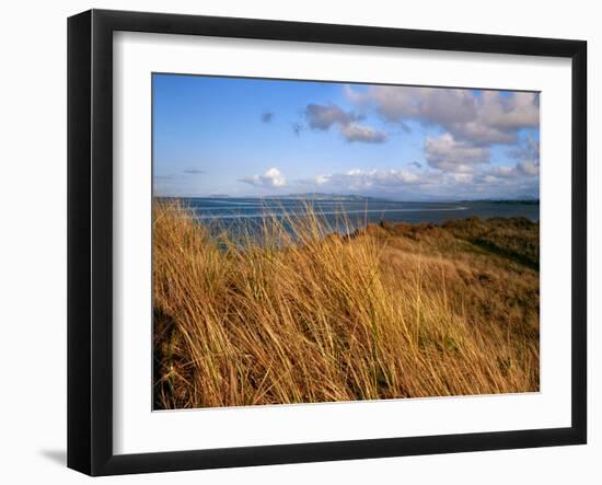 Columbia River from Clatsop Spit, Fort Stevens State Park, Oregon, USA-null-Framed Photographic Print