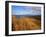 Columbia River from Clatsop Spit, Fort Stevens State Park, Oregon, USA-null-Framed Photographic Print