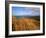 Columbia River from Clatsop Spit, Fort Stevens State Park, Oregon, USA-null-Framed Photographic Print