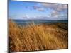 Columbia River from Clatsop Spit, Fort Stevens State Park, Oregon, USA-null-Mounted Photographic Print