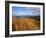 Columbia River from Clatsop Spit, Fort Stevens State Park, Oregon, USA-null-Framed Photographic Print