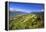 Columbia River Gorge from Crown Point, Oregon, Columbia River Gorge National Scenic Area, Oregon-Craig Tuttle-Framed Premier Image Canvas