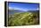 Columbia River Gorge from Crown Point, Oregon, Columbia River Gorge National Scenic Area, Oregon-Craig Tuttle-Framed Premier Image Canvas