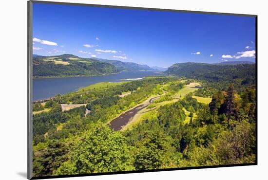 Columbia River Gorge from Crown Point, Oregon, Columbia River Gorge National Scenic Area, Oregon-Craig Tuttle-Mounted Photographic Print