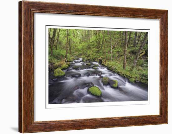 Columbia River Gorge I-Donald Paulson-Framed Giclee Print