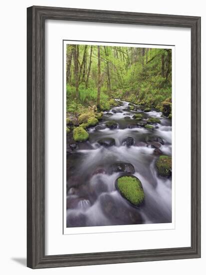 Columbia River Gorge II-Donald Paulson-Framed Giclee Print