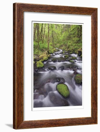 Columbia River Gorge II-Donald Paulson-Framed Giclee Print