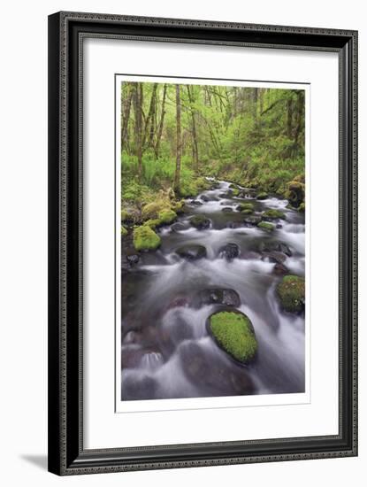 Columbia River Gorge II-Donald Paulson-Framed Giclee Print