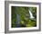 Columbia River Gorge National Scenic Area, Oregon-Ethan Welty-Framed Photographic Print