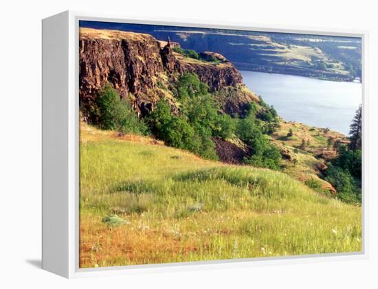 Columbia River Gorge, Oregon, USA-William Sutton-Framed Premier Image Canvas