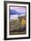 Columbia River Gorge Scene with Crown Point-Lantern Press-Framed Art Print