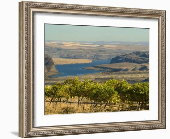 Columbia River Surounded Agriculture, Central Washington, USA-Janis Miglavs-Framed Photographic Print