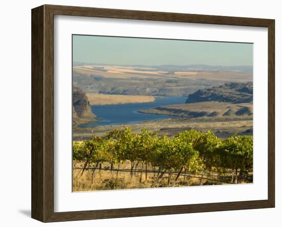 Columbia River Surounded Agriculture, Central Washington, USA-Janis Miglavs-Framed Photographic Print