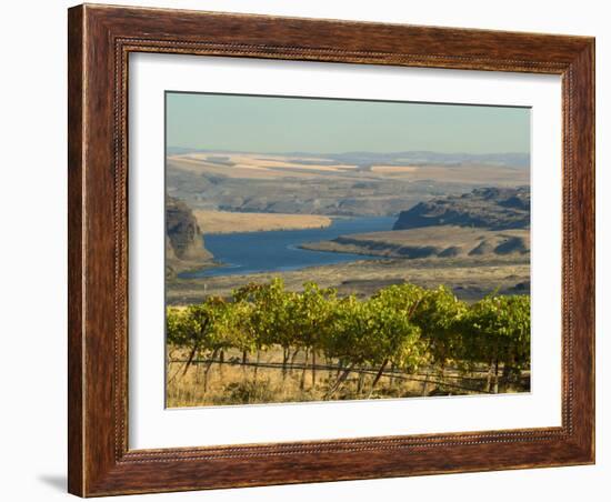 Columbia River Surounded Agriculture, Central Washington, USA-Janis Miglavs-Framed Photographic Print