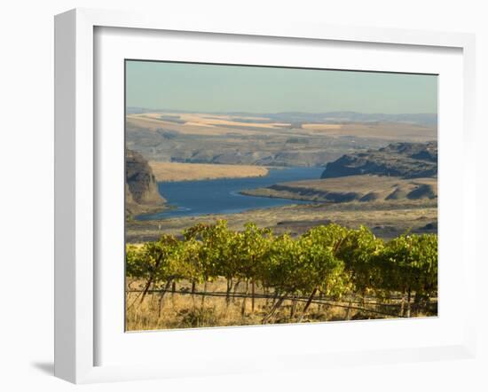 Columbia River Surounded Agriculture, Central Washington, USA-Janis Miglavs-Framed Photographic Print