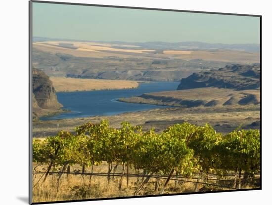 Columbia River Surounded Agriculture, Central Washington, USA-Janis Miglavs-Mounted Photographic Print