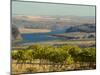 Columbia River Surounded Agriculture, Central Washington, USA-Janis Miglavs-Mounted Photographic Print