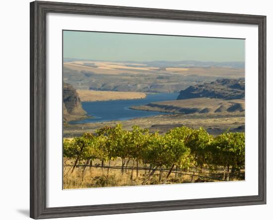 Columbia River Surounded Agriculture, Central Washington, USA-Janis Miglavs-Framed Photographic Print