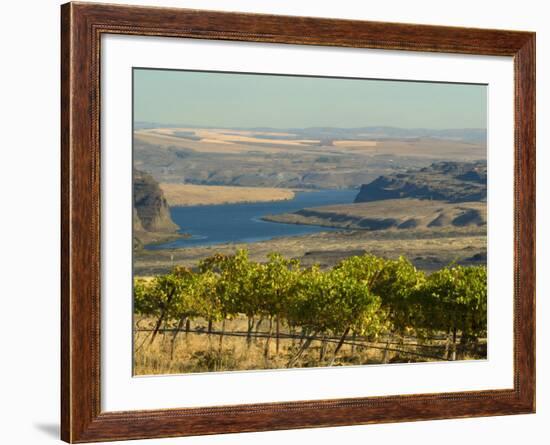 Columbia River Surounded Agriculture, Central Washington, USA-Janis Miglavs-Framed Photographic Print